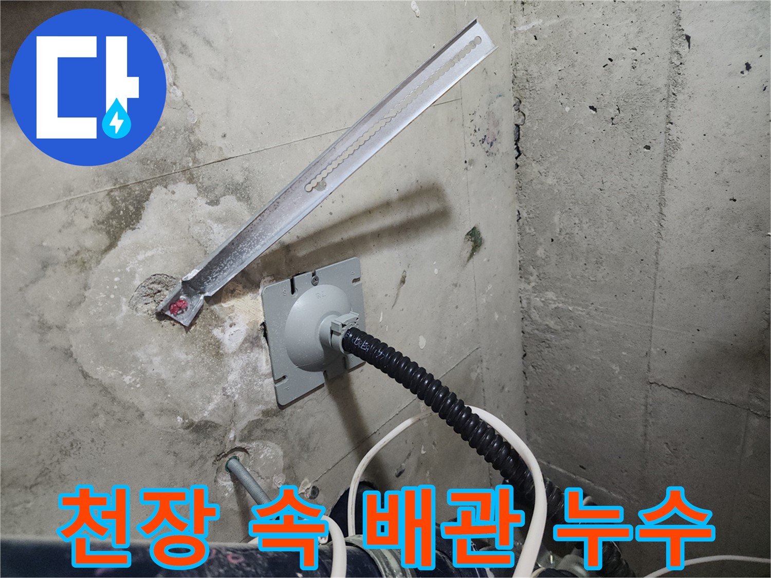 천안 두정역 코아루 스위트 천장 속 배관 누수 탐지 - 전문 장비로 정확한 누수 위치 파악