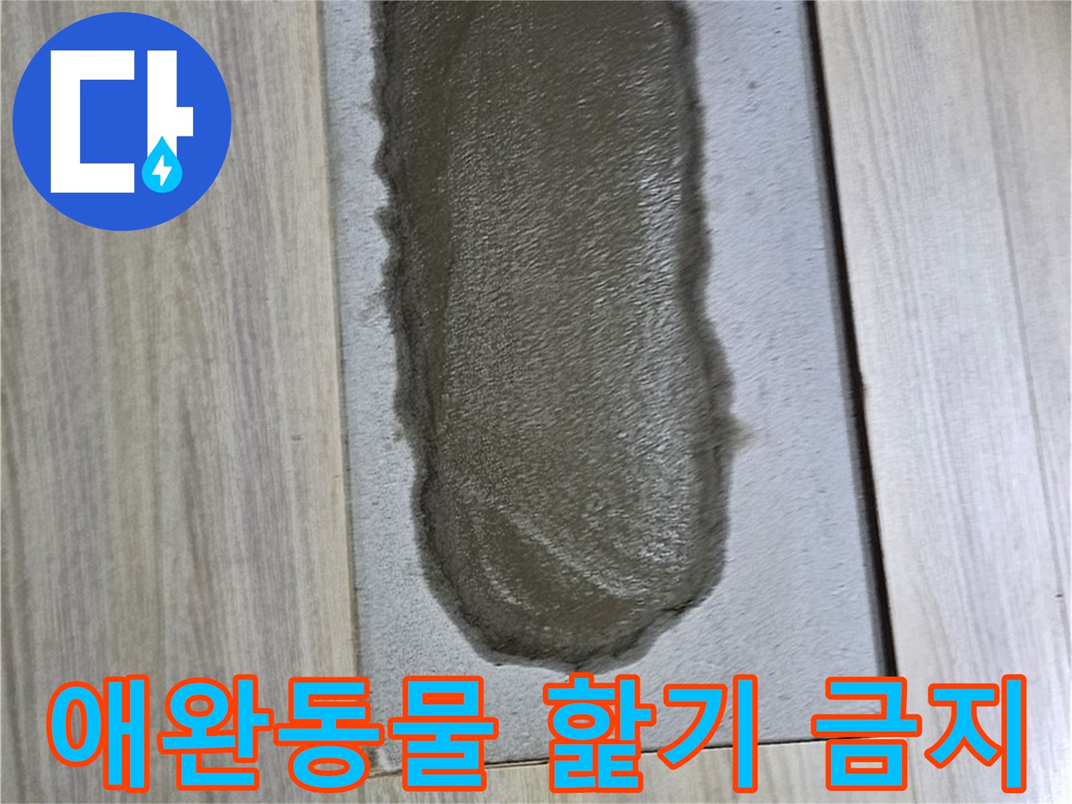 도봉구 누수 해결 - 시멘트, 굳기 전에 애완동물이 핥으면?