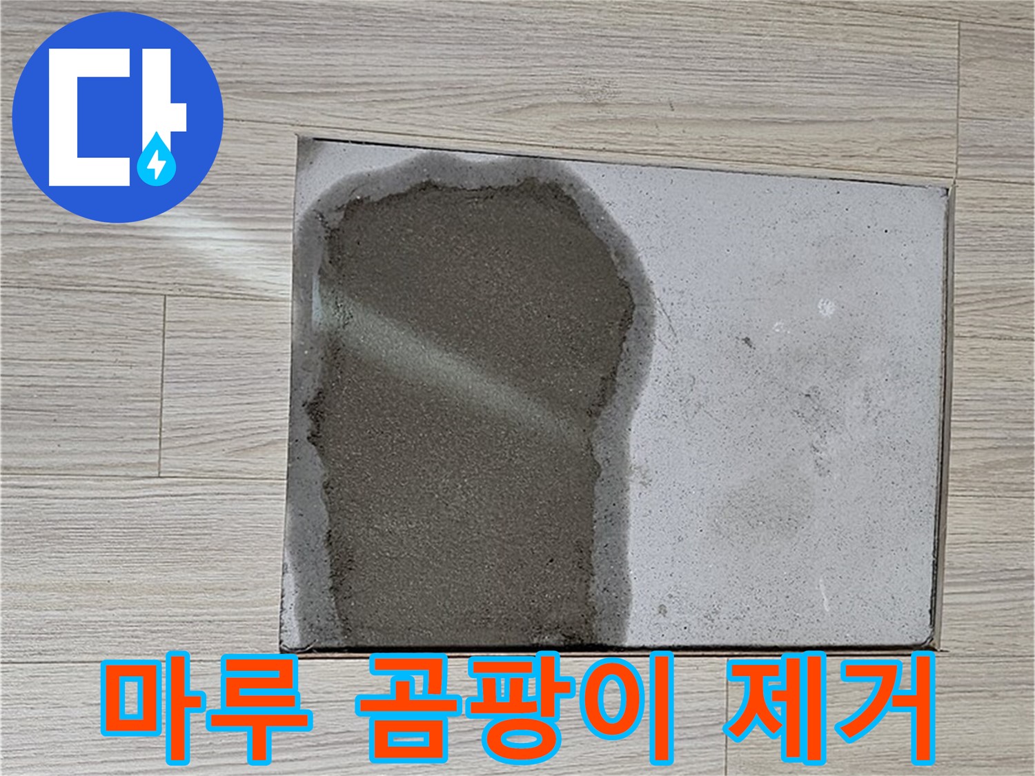 도봉구 도봉동 현대시티 - 마루 곰팡이, 누수 원인 제거 및 곰팡이 완벽 제거