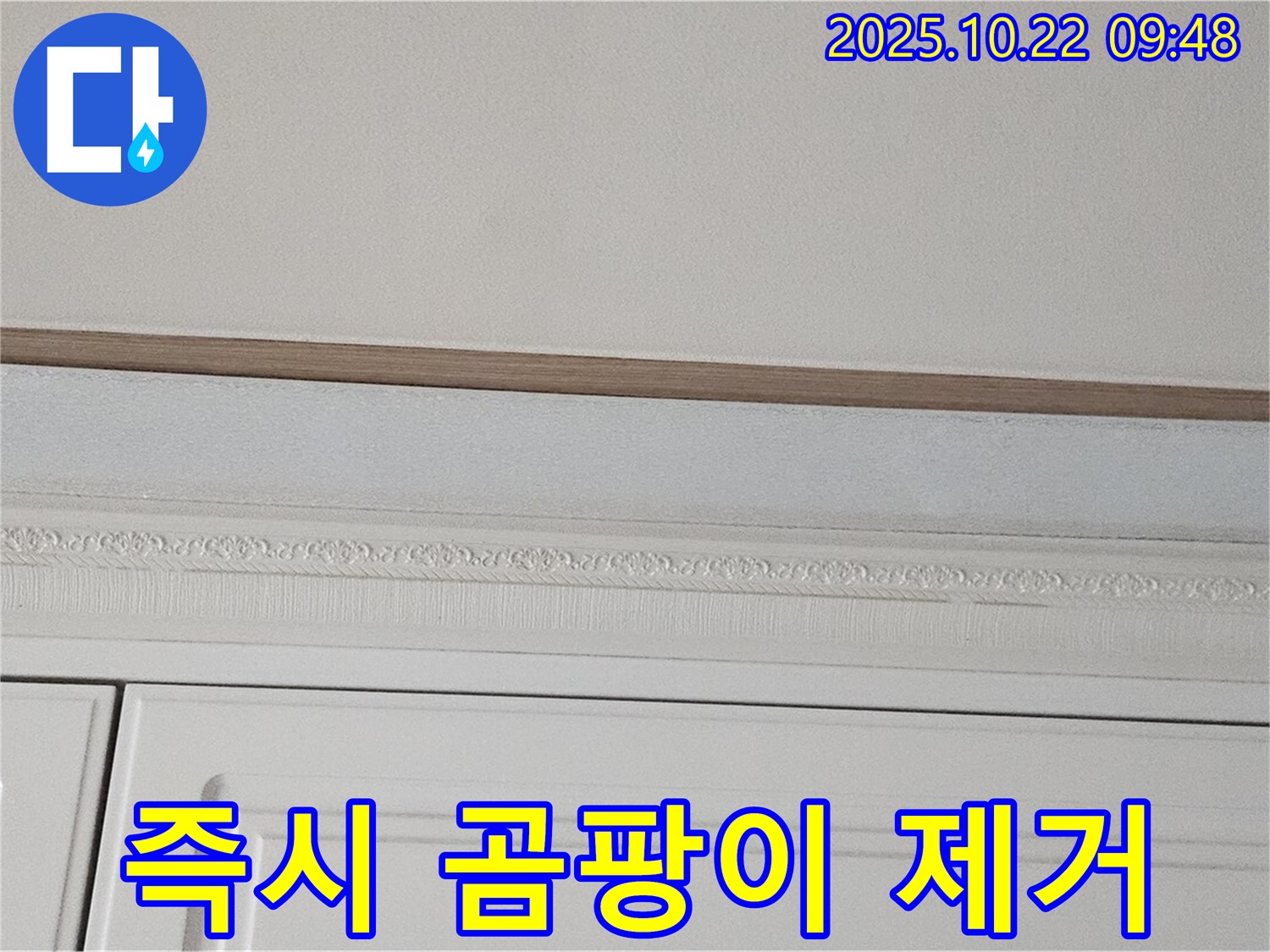 도봉구 현대시티 누수 - 곰팡이 핀 석고보드, 건강을 위해 즉시 제거하세요!
