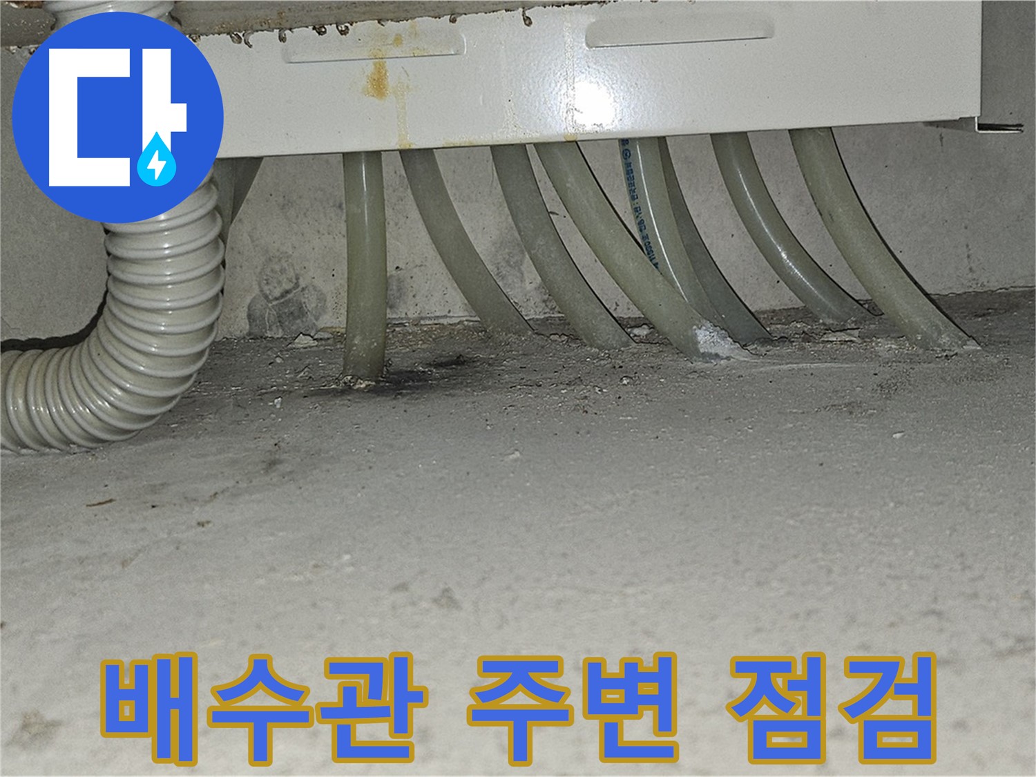 도봉동 현대시티 세탁실 누수 - 바닥 배수관 주변을 꼼꼼하게 점검합니다.