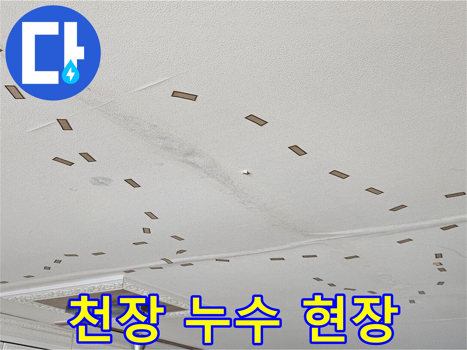 도봉동 현대시티 아파트 천장 누수 현장 - 천장에서 누수가 발생한 상황을 보여줍니다.