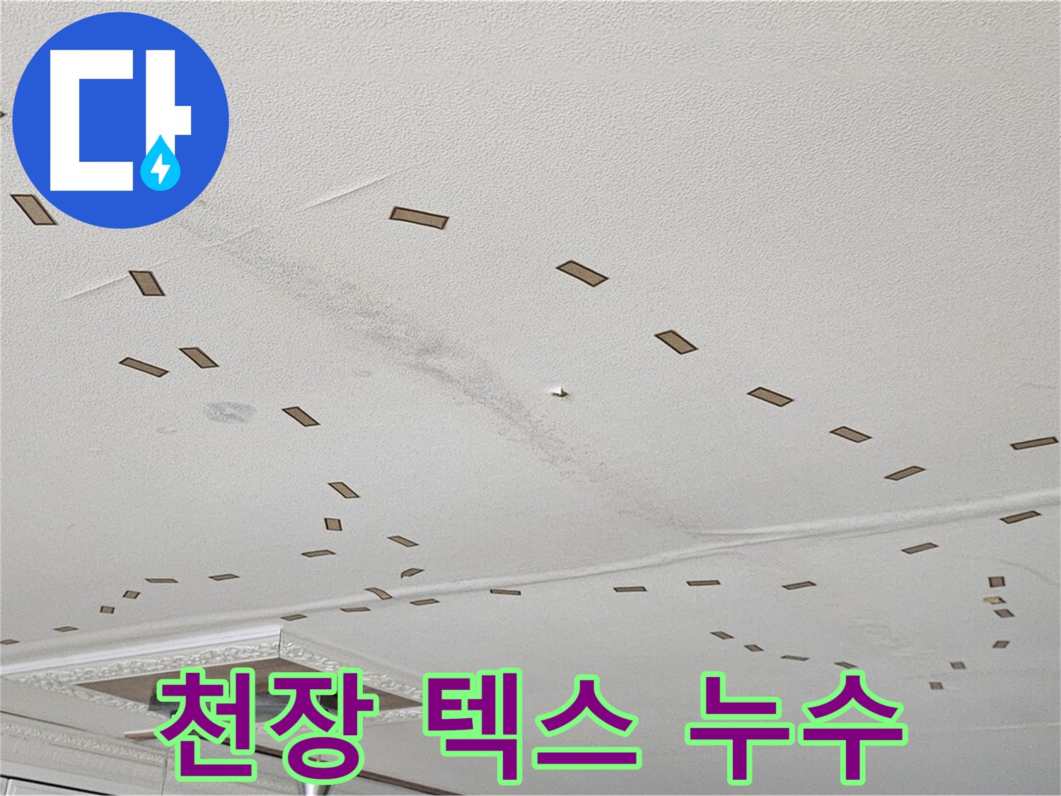 도봉동 현대시티 아파트 - 천장 텍스에 발생한 누수, 꼼꼼한 점검이 필요합니다.
