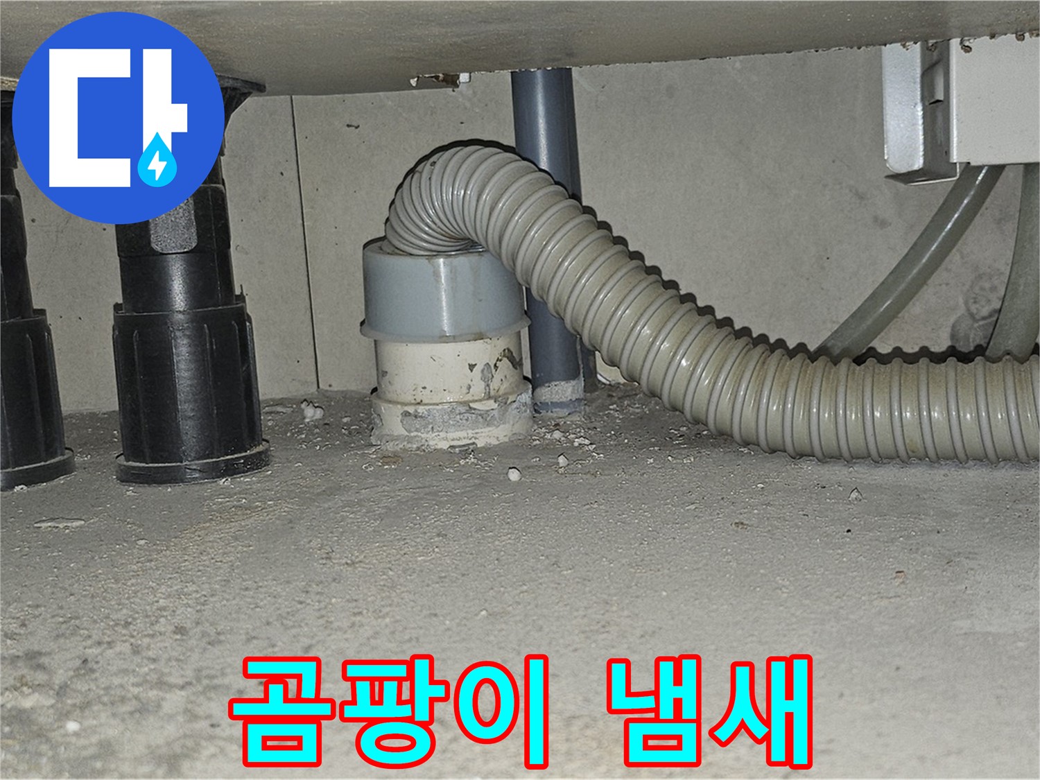 현대시티 누수 - 싱크대 배수관 백시멘트 곰팡이 냄새