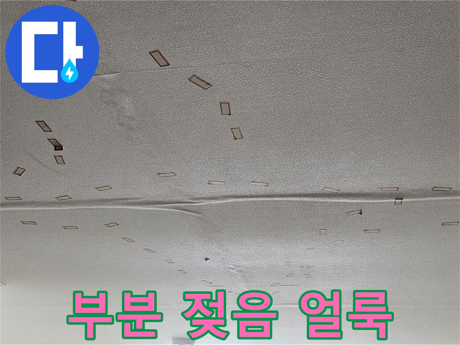 현대시티 아파트 - 부분적인 젖음과 얼룩 - 긴급 누수 탐지 및 원인 분석