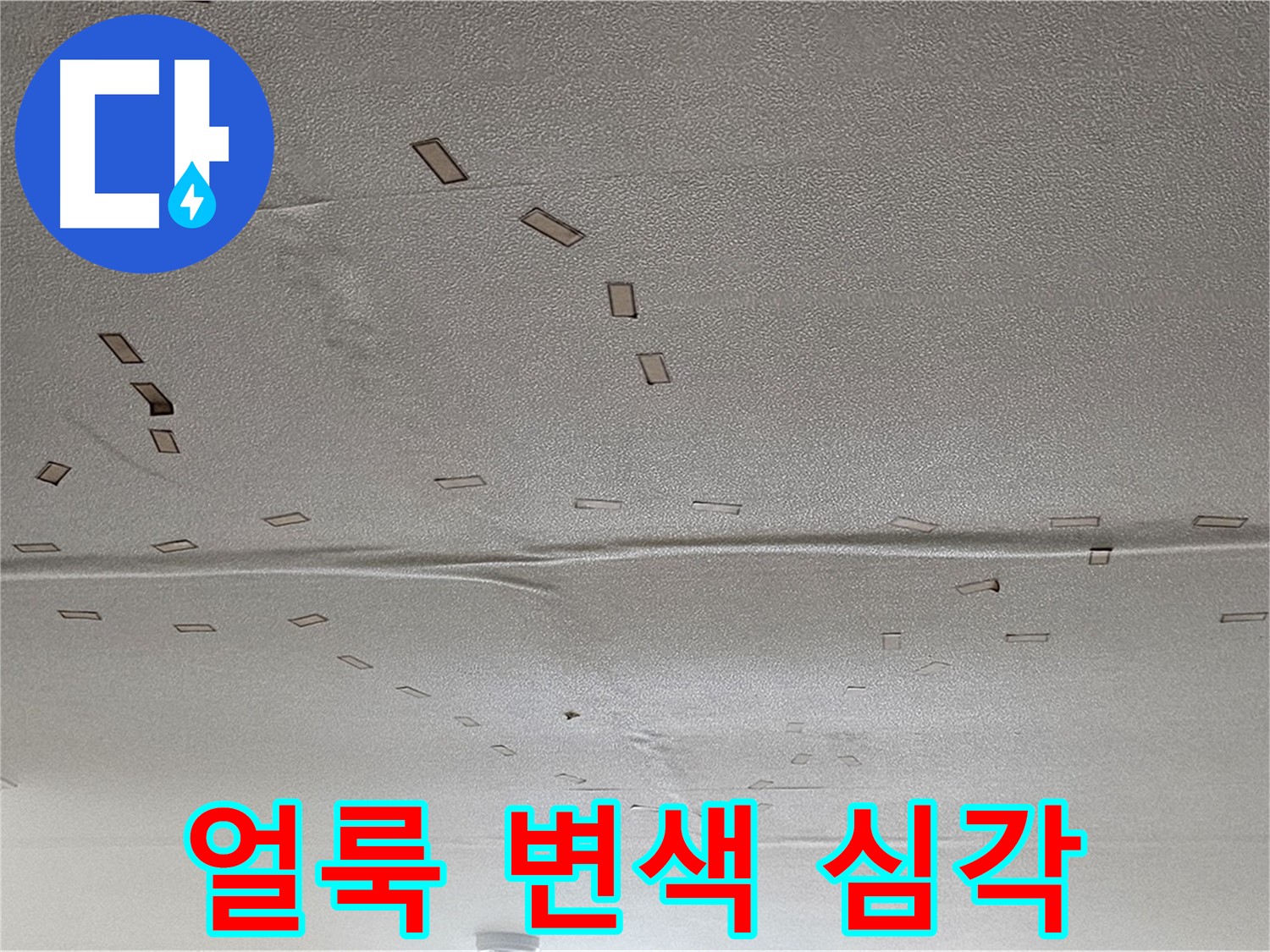 현대시티 아파트 - 심한 얼룩과 변색 - 긴급 누수 탐지 및 원인 분석
