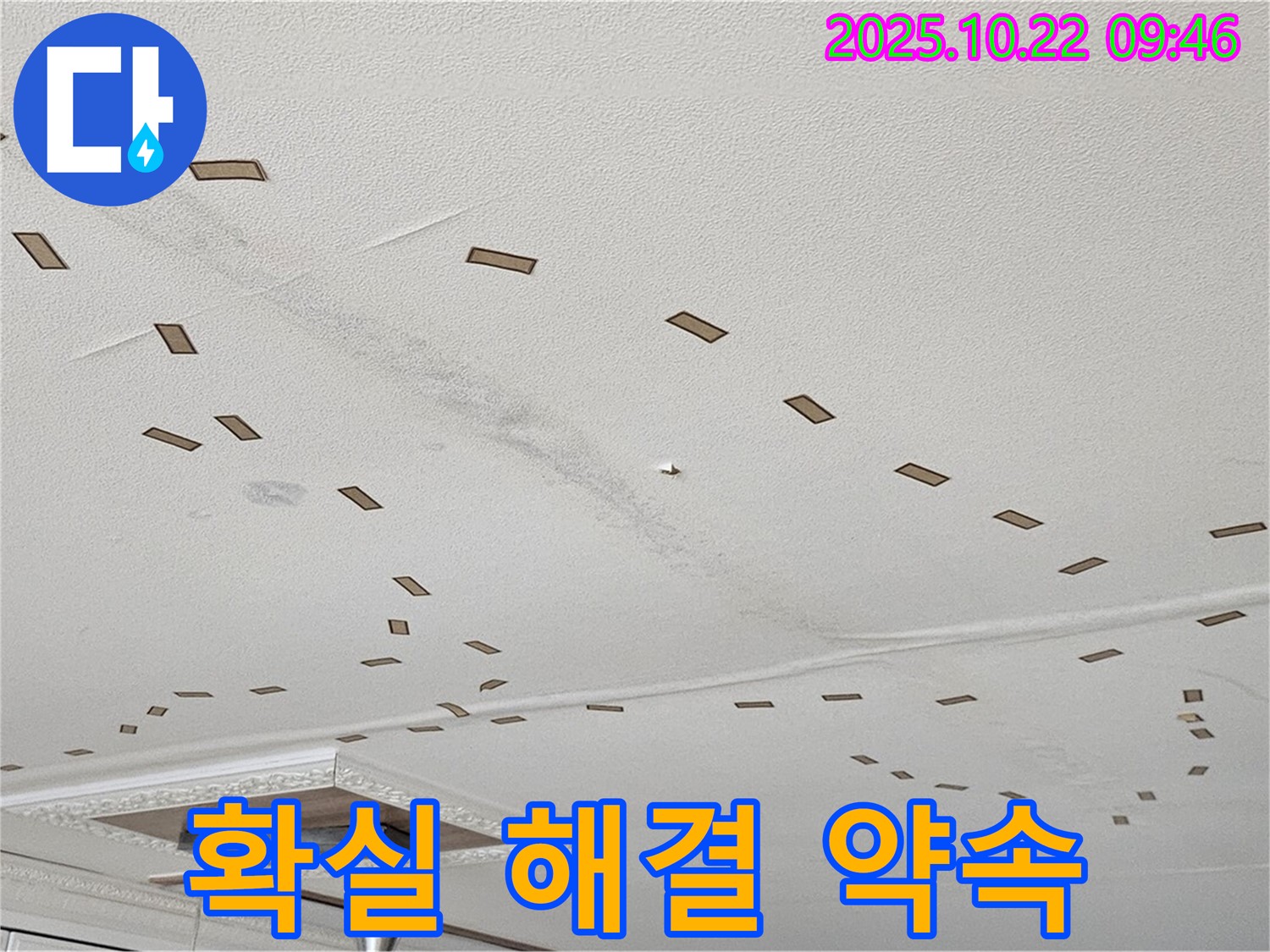 확실 해결 약속 - 누수 문제를 확실하게 해결하고, 고객님의 만족을 위해 최선을 다합니다 - 믿고 맡겨주세요 - 책임 시공 - 완벽 해결 - 최고의 선택.