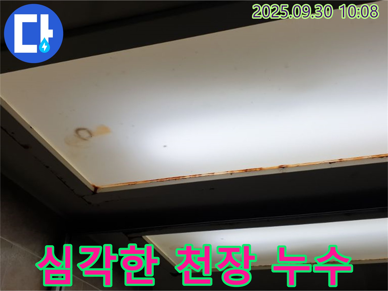 심각한 천장 누수 - 양주시 광적면 석우리에서 누수탐지 전문가가 긴급 점검을 진행하고 있습니다.