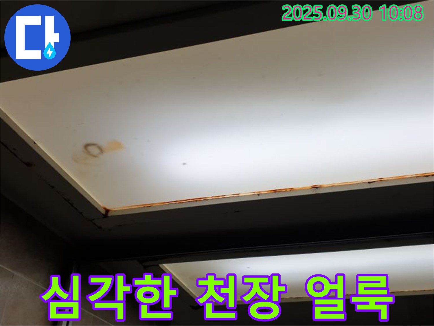 심각한 천장 얼룩 - 양주 광적면 석우리에서 누수탐지 전문가가 심각한 천장 얼룩의 원인을 진단하고 있습니다.