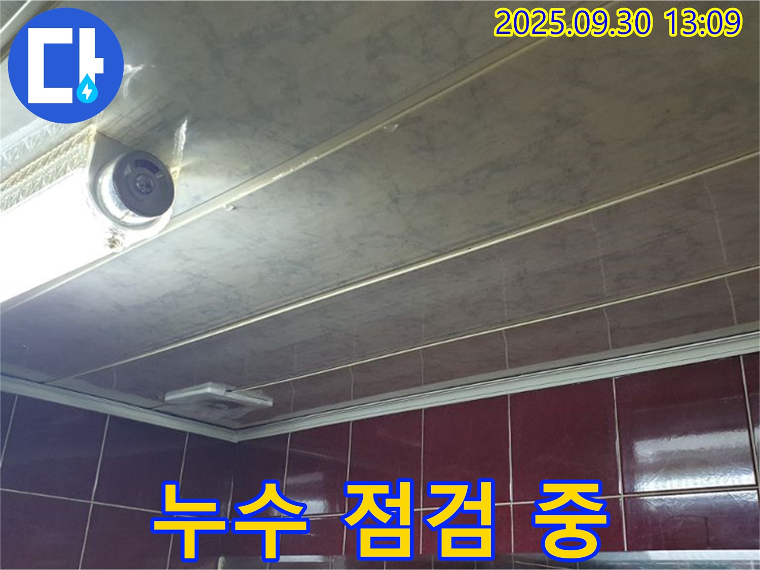 덕도리 텍스 천장 누수 점검 중 - 누수탐지 전문가가 꼼꼼하게 누수 지점을 확인하고 있습니다.