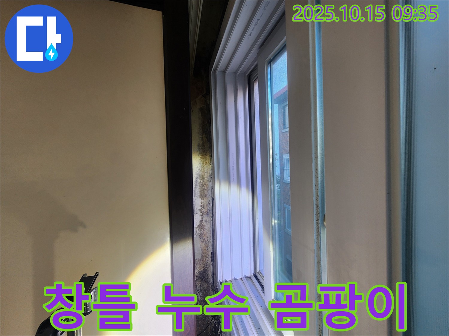 공릉동 동우빌라 창틀 누수로 인한 벽면 곰팡이 - 전문적인 곰팡이 제거와 누수 방지 시공으로 해결했습니다.