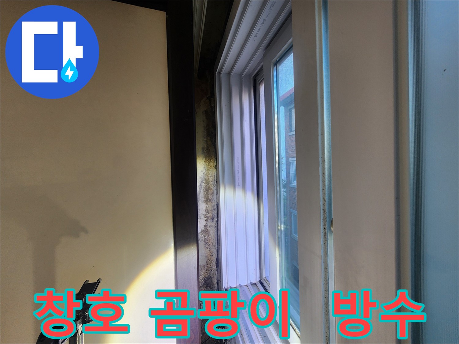 공릉동 창호 주변 곰팡이 문제 - 곰팡이 제거 및 누수-결로 원인 해결 중요