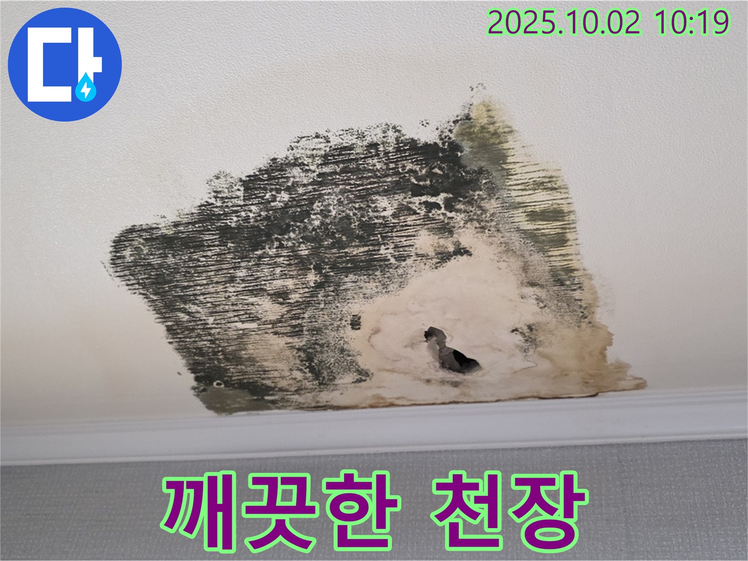 양주시 남면 신산리 주택, 곰팡이 없는 깨끗한 천장 - 누수 해결 후 쾌적한 환경을 되찾았습니다.