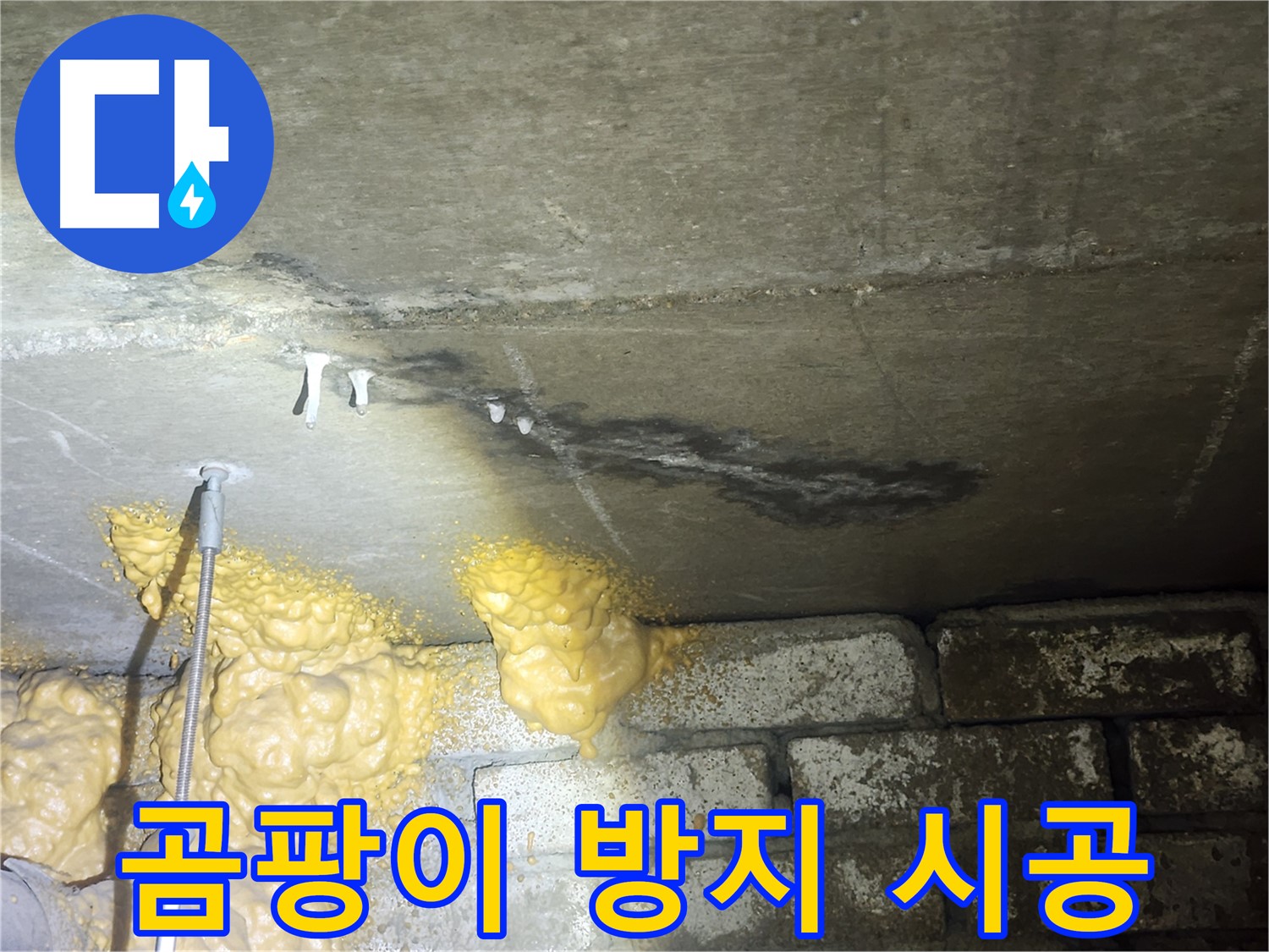 당산동 아파트 누수 - 습기 제거 후 곰팡이 방지 시공 및 정기적인 환기 중요