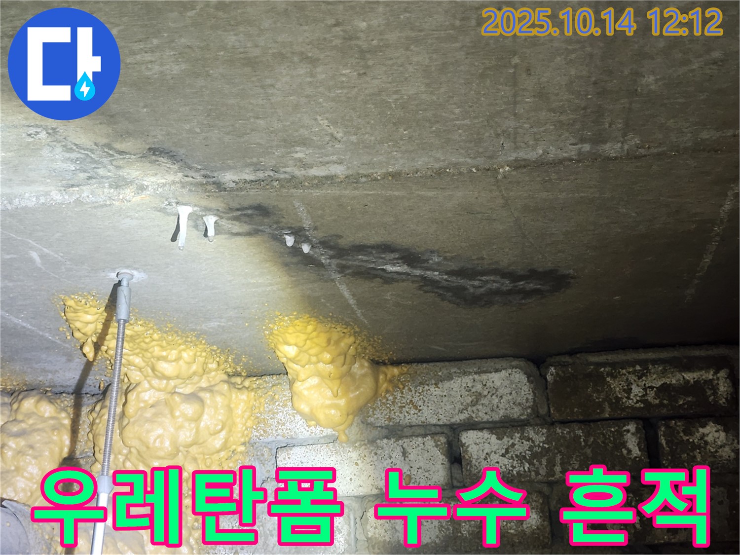 영등포구 당산동 래미안당산1차 아파트 누수 현장 - 우레탄폼 시공 흔적과 함께 누수 발생 확인