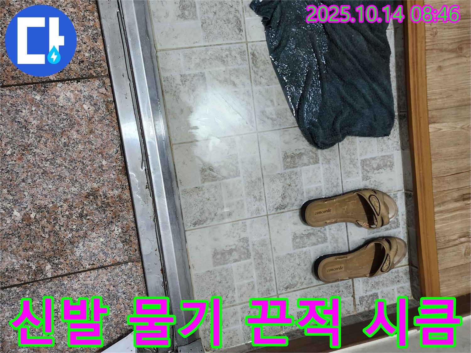 양주 두곡리 누수 점검 - 현관 앞 신발 밑에 물기가 끈적거리고 시큼한 냄새가 난다면 누수를 의심해야 합니다.