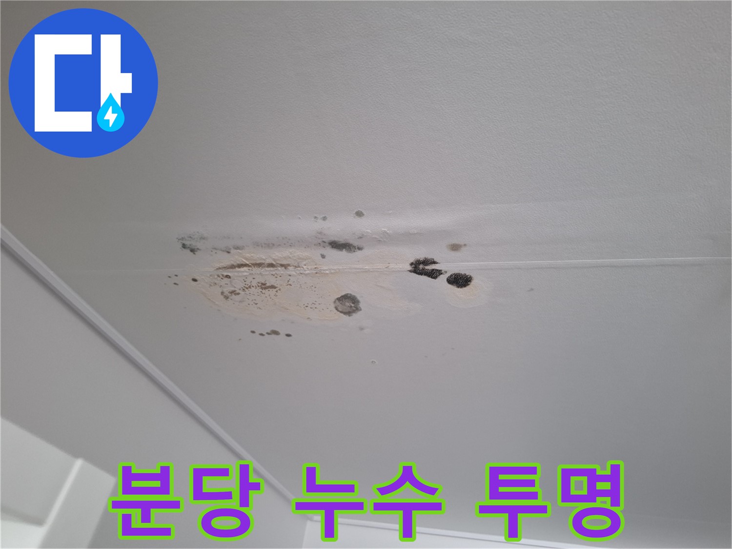 누수 해결 - 친절한 상담, 투명한 견적 제공!