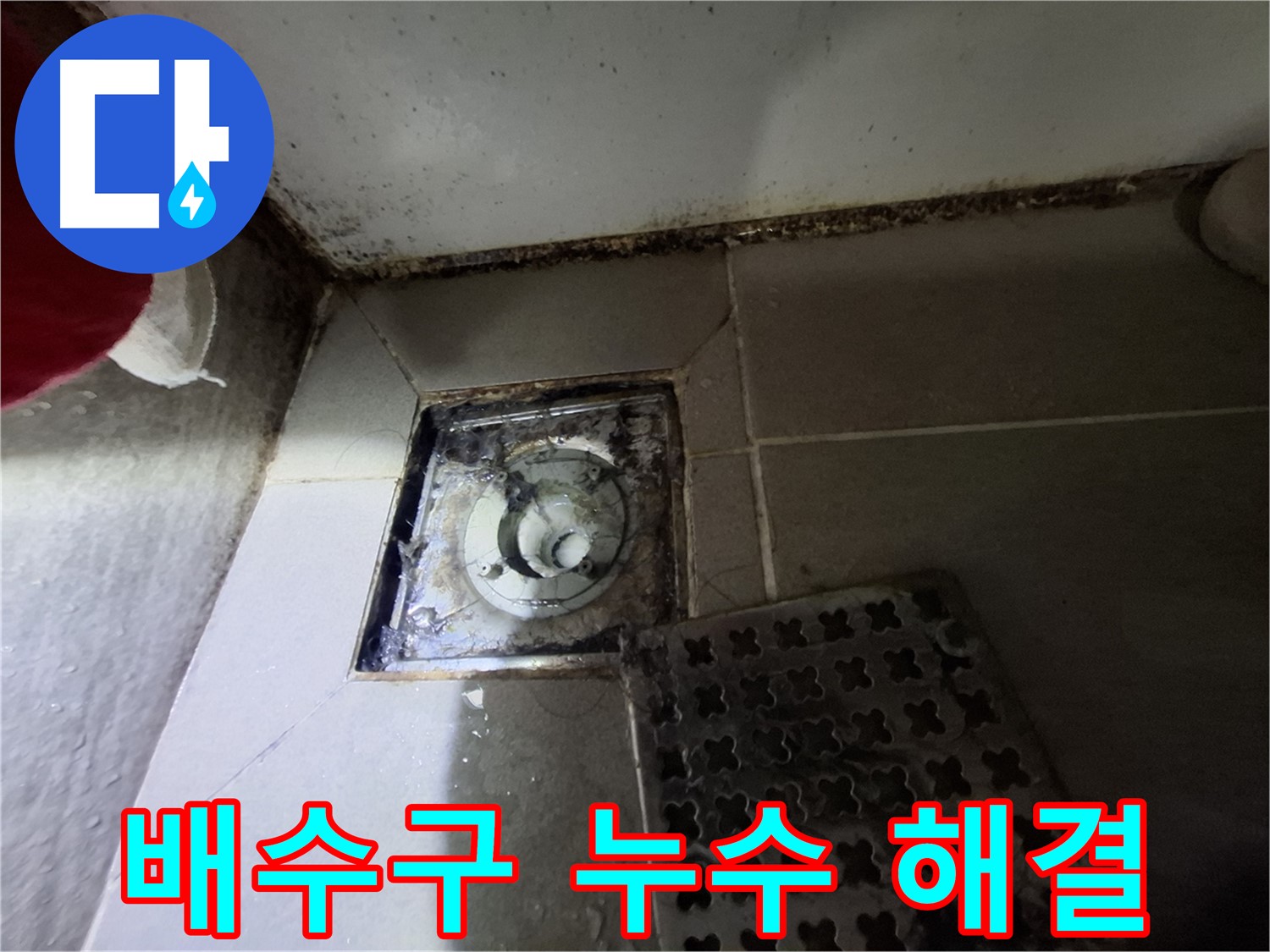 봇들마을 아파트 욕실 배수구 누수 - 전문적인 기술로 완벽하게 해결