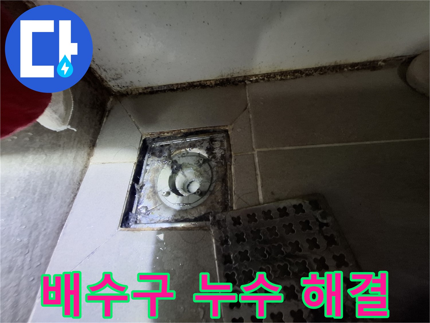 봇들마을 아파트 욕실 배수구 누수 - 전문적인 기술로 완벽하게 해결