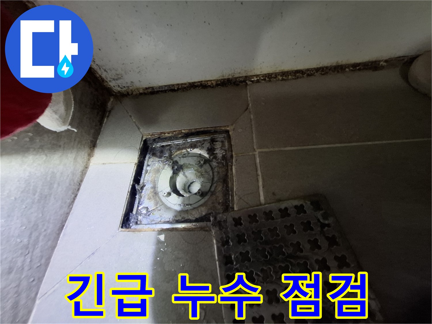 봇들마을2단지 욕실 누수 - 긴급 상황, 신속한 점검 및 해결