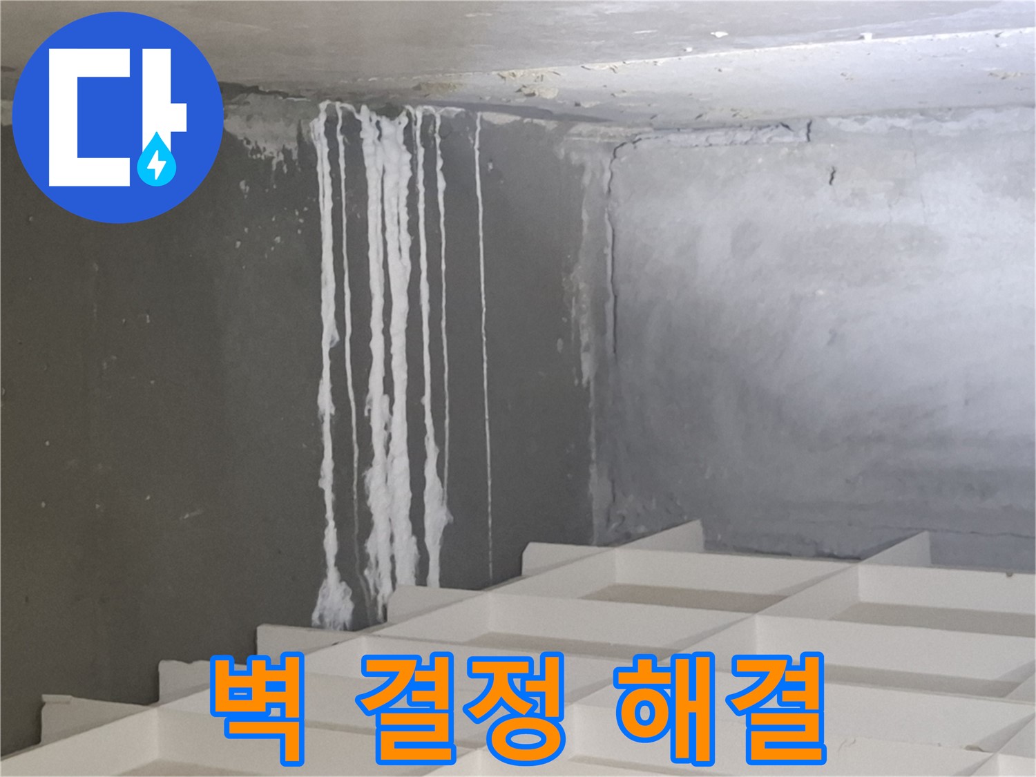 분당 누수 - 삼평동 아파트 벽에 맺힌 하얀 결정 문제, 진단부터 시공까지 원스톱 솔루션 제공