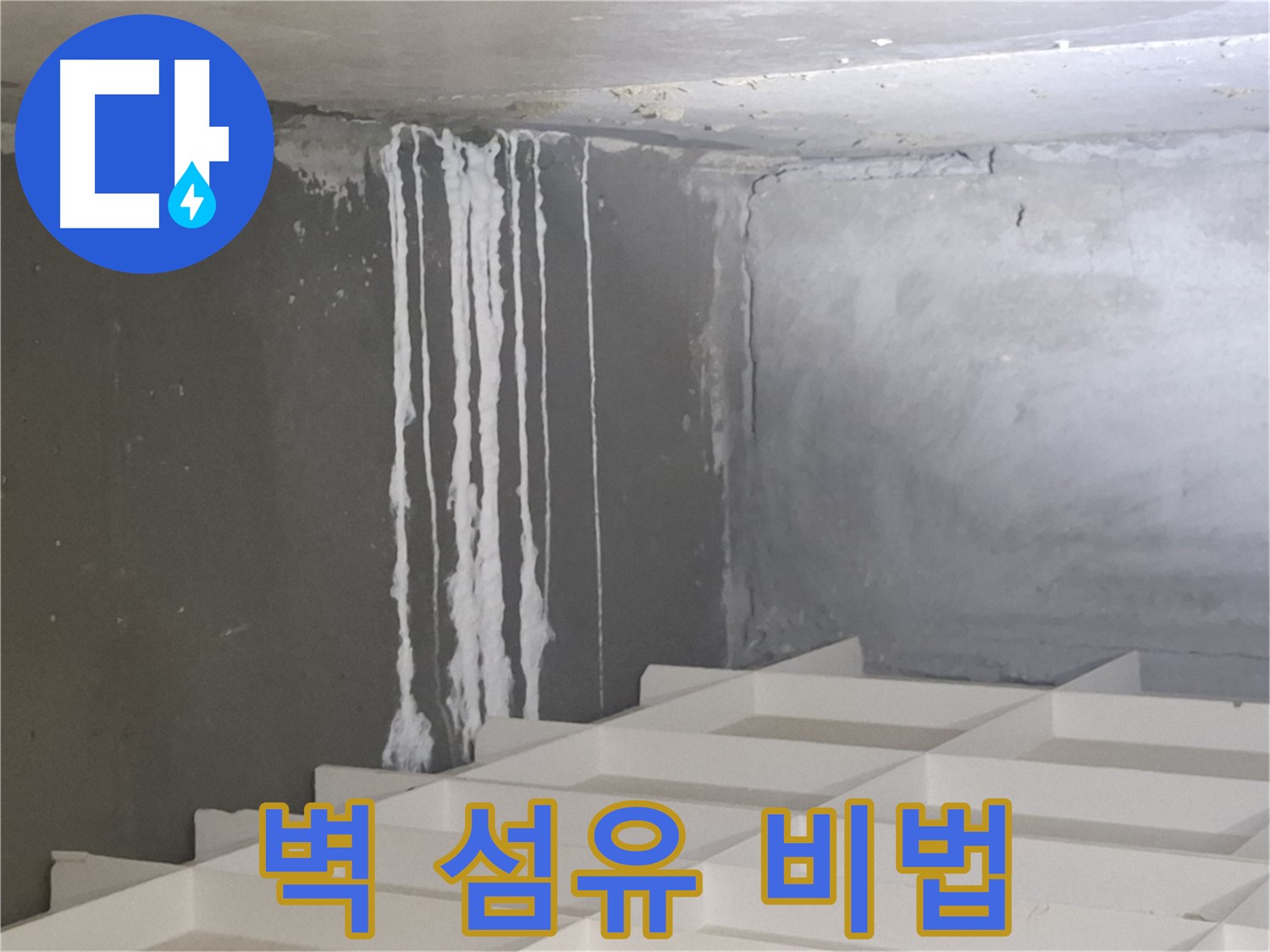 분당 누수 - 삼평동 아파트 벽에 맺힌 하얀 섬유를 완벽하게 해결하는 전문 업체의 특별한 노하우