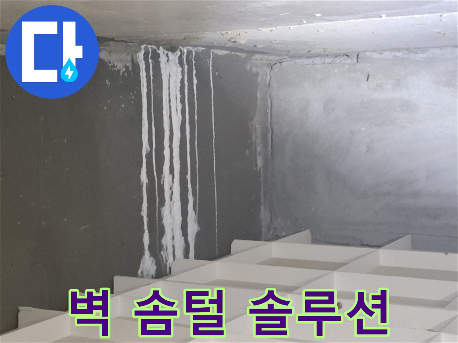 분당 누수 - 삼평동 아파트 콘크리트 벽에 생긴 솜털 문제, 진단부터 시공까지 원스톱 솔루션 제공