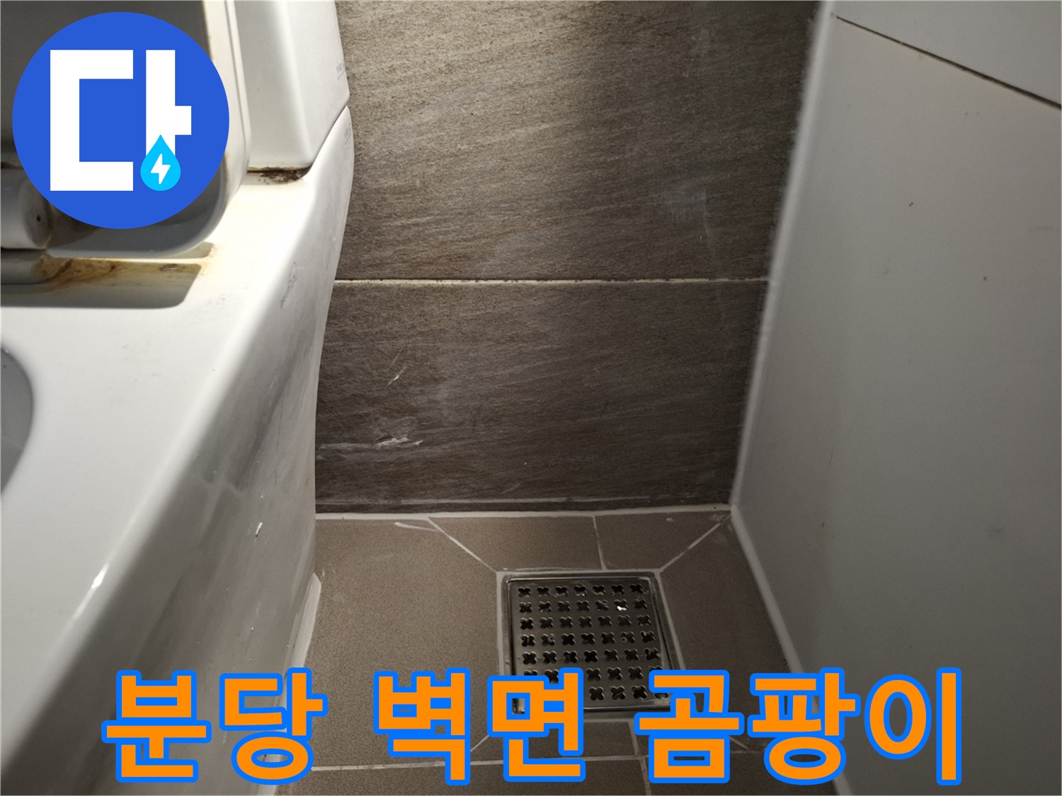 분당 변기 뒤쪽 벽면 곰팡이 - 윗집 누수 의심