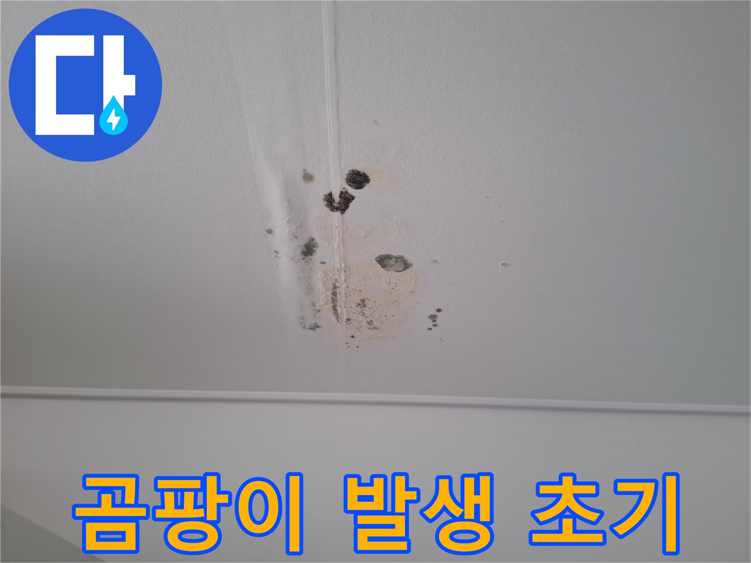 분당 봇들마을 봇들마을2단지 아파트 - 누수로 인한 곰팡이 발생 초기 단계 - 빠른 대처가 중요합니다.