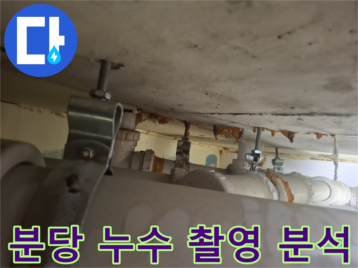 분당 봇들마을 아파트 누수 - 누수 부위 정밀 촬영 및 꼼꼼한 분석