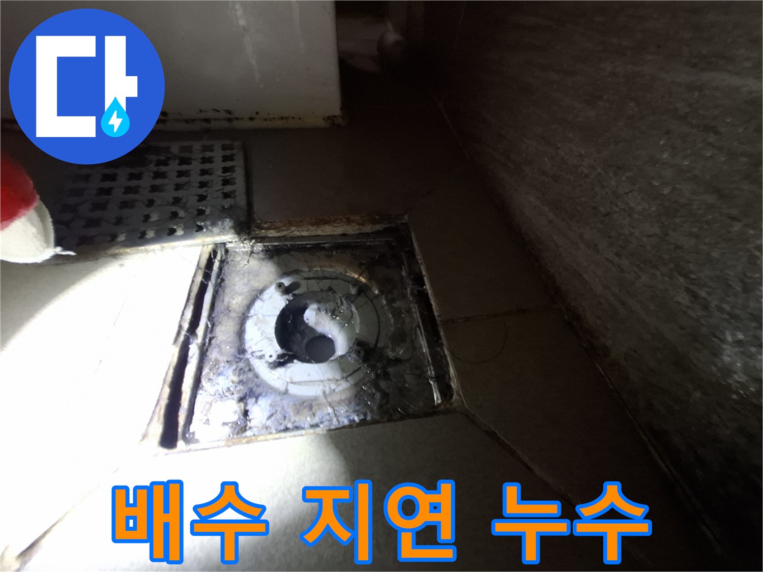 분당 봇들마을 욕실 배수 지연 - 누수 가능성 점검, 역류 방지 중요