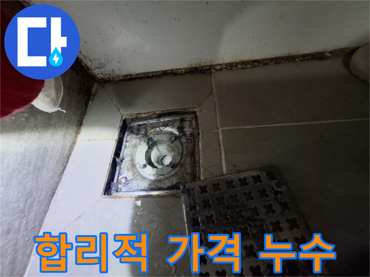 분당 봇들마을 욕실 배수구 누수 - 합리적인 가격으로 누수 해결