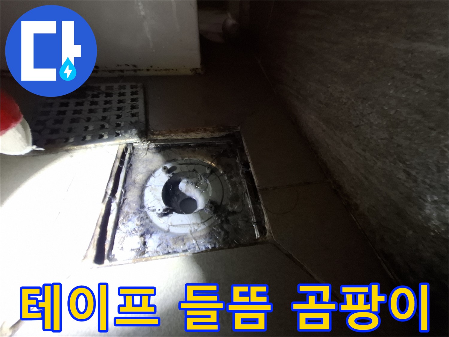 분당 봇들마을 욕실 테이프 들뜸 - 곰팡이, 누수 위험 진단 - 습기 제거가 중요합니다