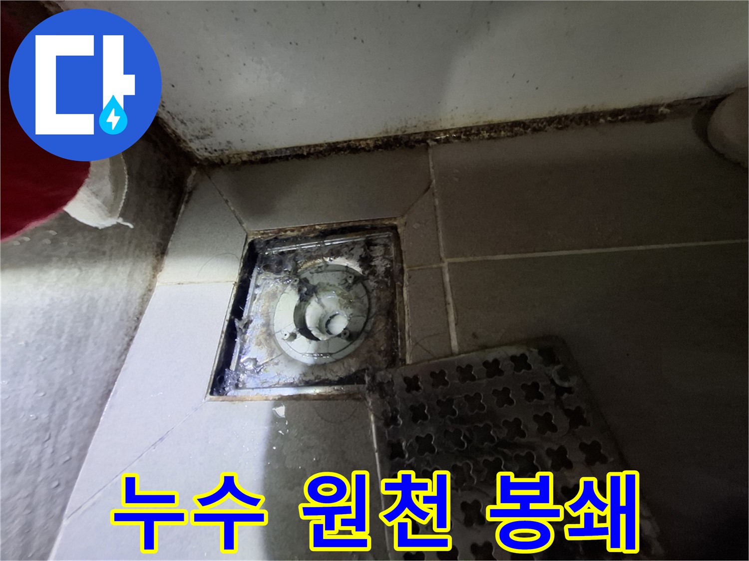 분당 봇들마을2단지 욕실 - 곰팡이 제거 - 누수 원천 봉쇄
