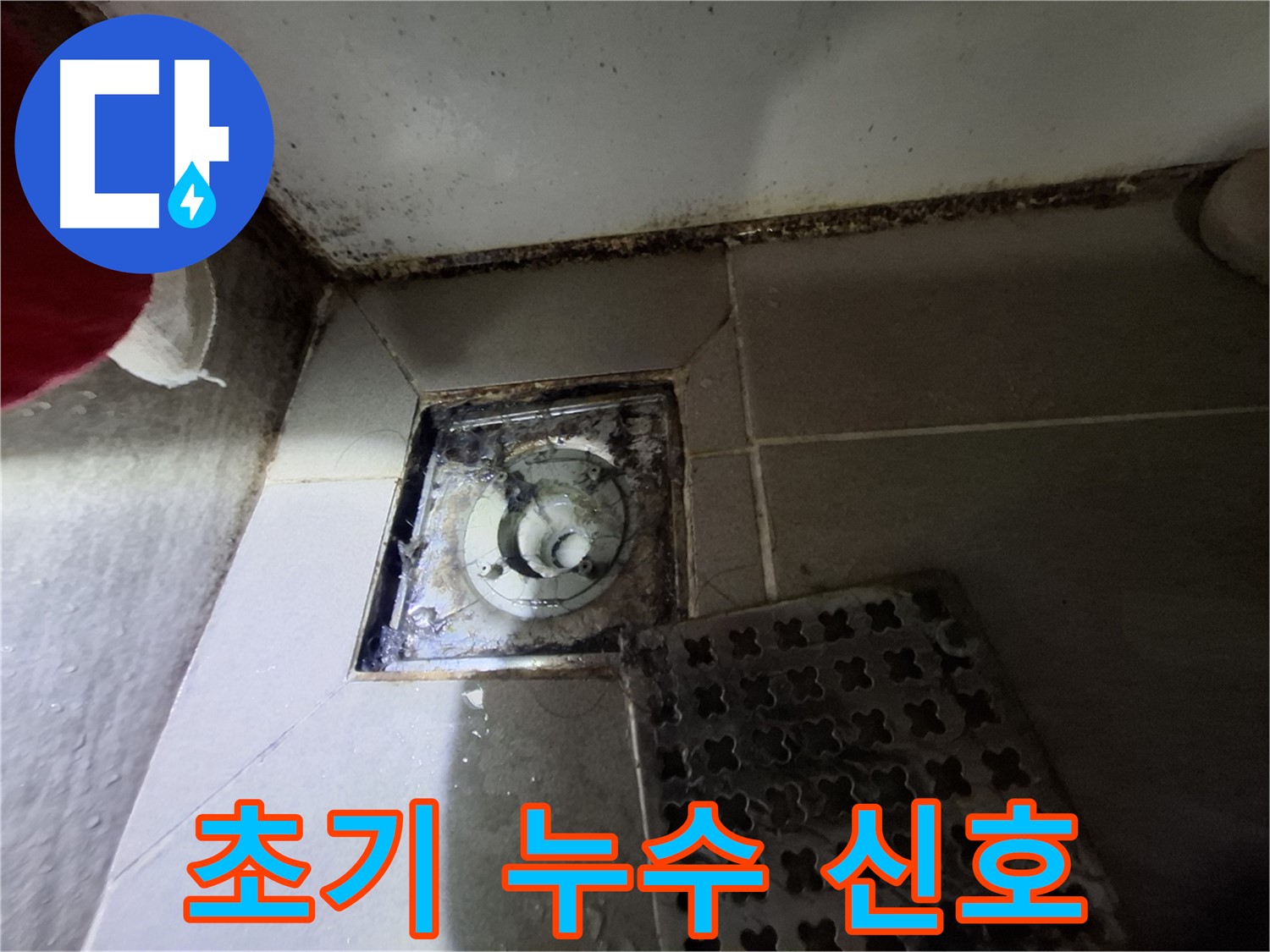 분당 봇들마을2단지 욕실 - 곰팡이는 초기 누수 신호일 수 있습니다
