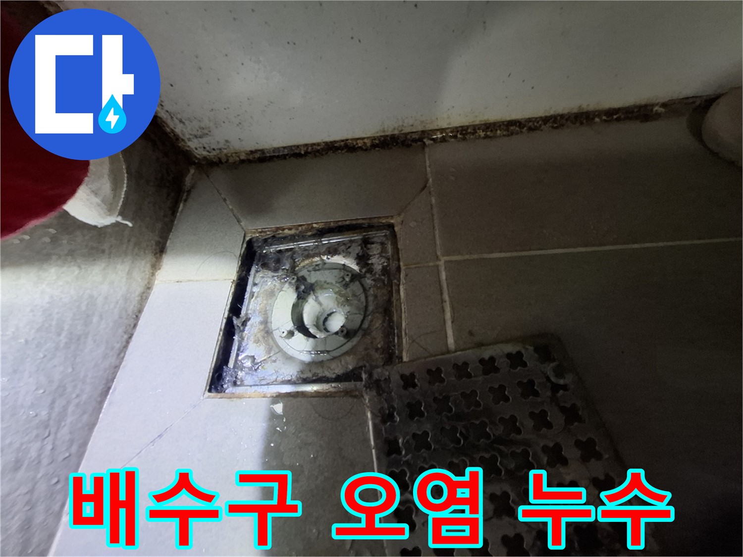 분당 봇들마을2단지 욕실 배수구 - 오염으로 인한 누수 위험 증가