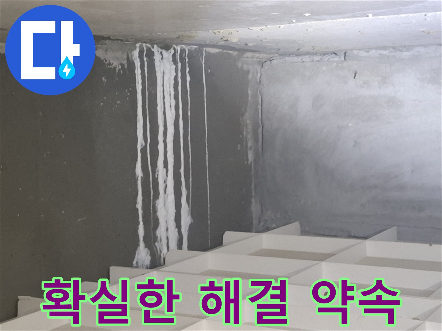 분당 삼평동 누수 - 곰팡이와 백화 현상에 대한 확실한 해결을 약속하는 전문 업체의 자신감