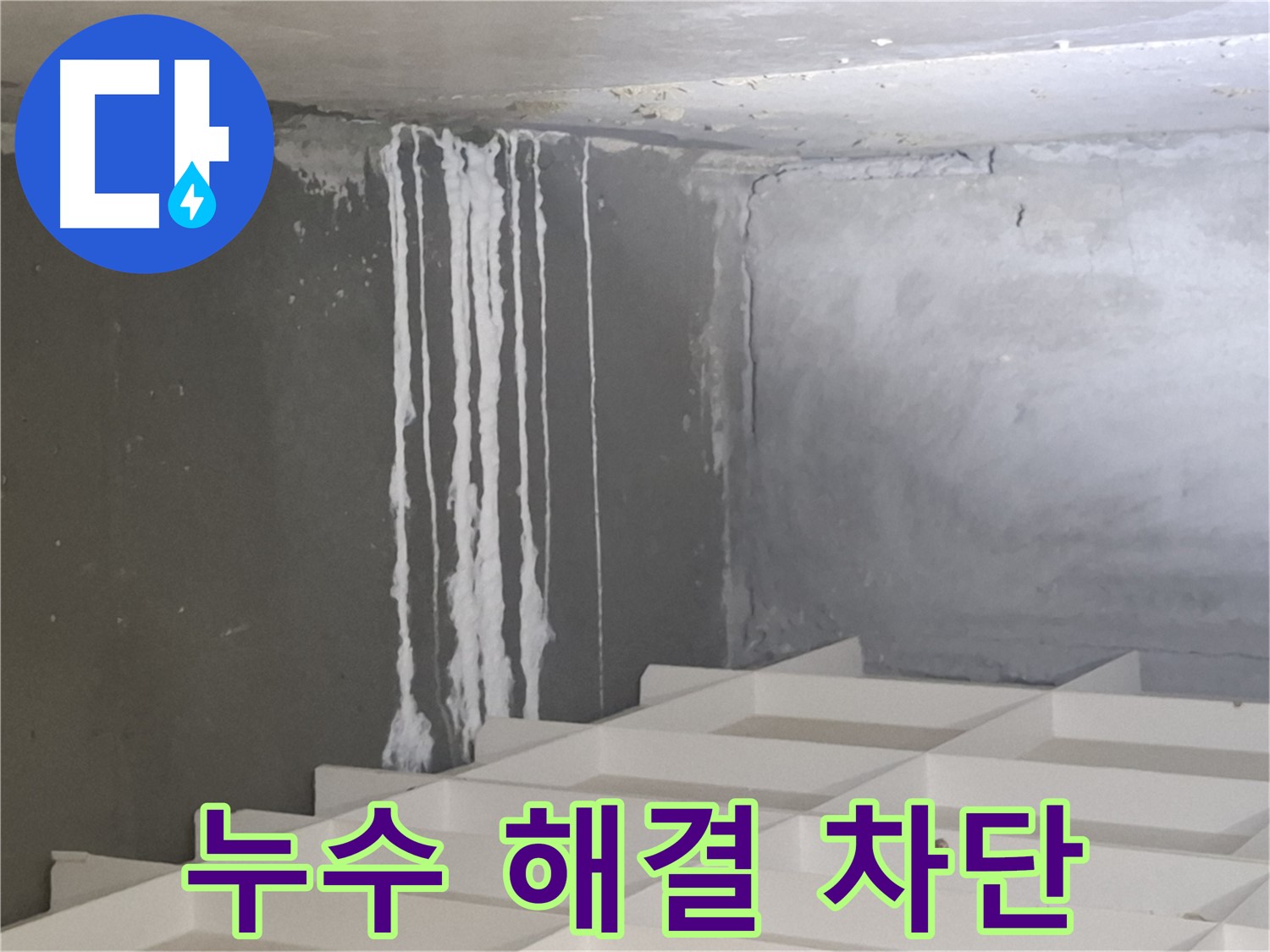 분당 삼평동 누수 해결 - 곰팡이와 백화 현상을 완벽하게 차단하는 전문적인 시공 과정