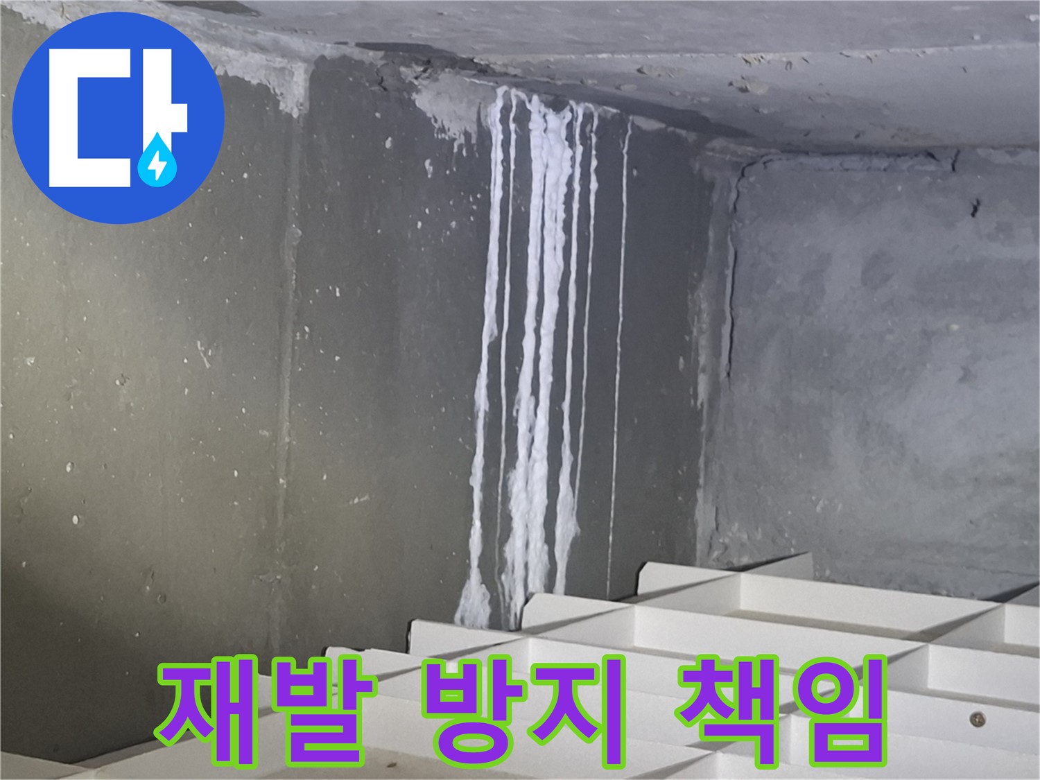 분당 삼평동 봇들마을 아파트 누수 - 재발 방지까지 확실하게 책임지는 누수 공사