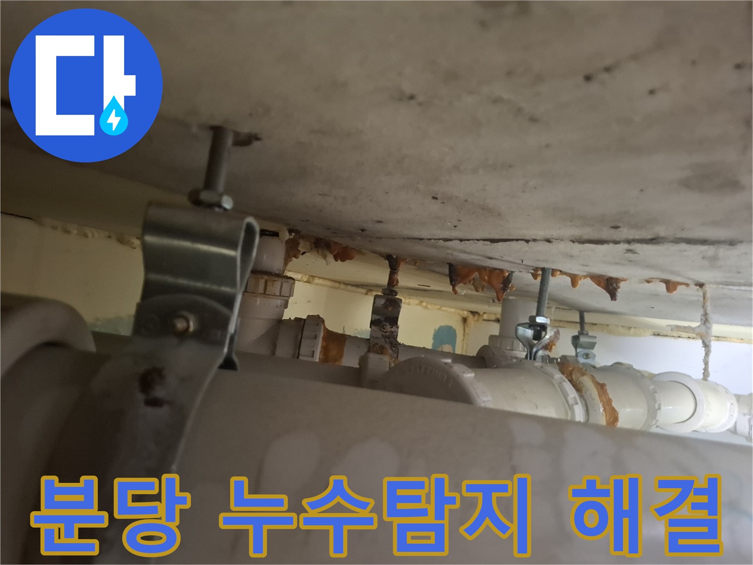 분당 삼평동 봇들마을 아파트 누수 해결 - 누수탐지 전문 업체의 완벽 시공