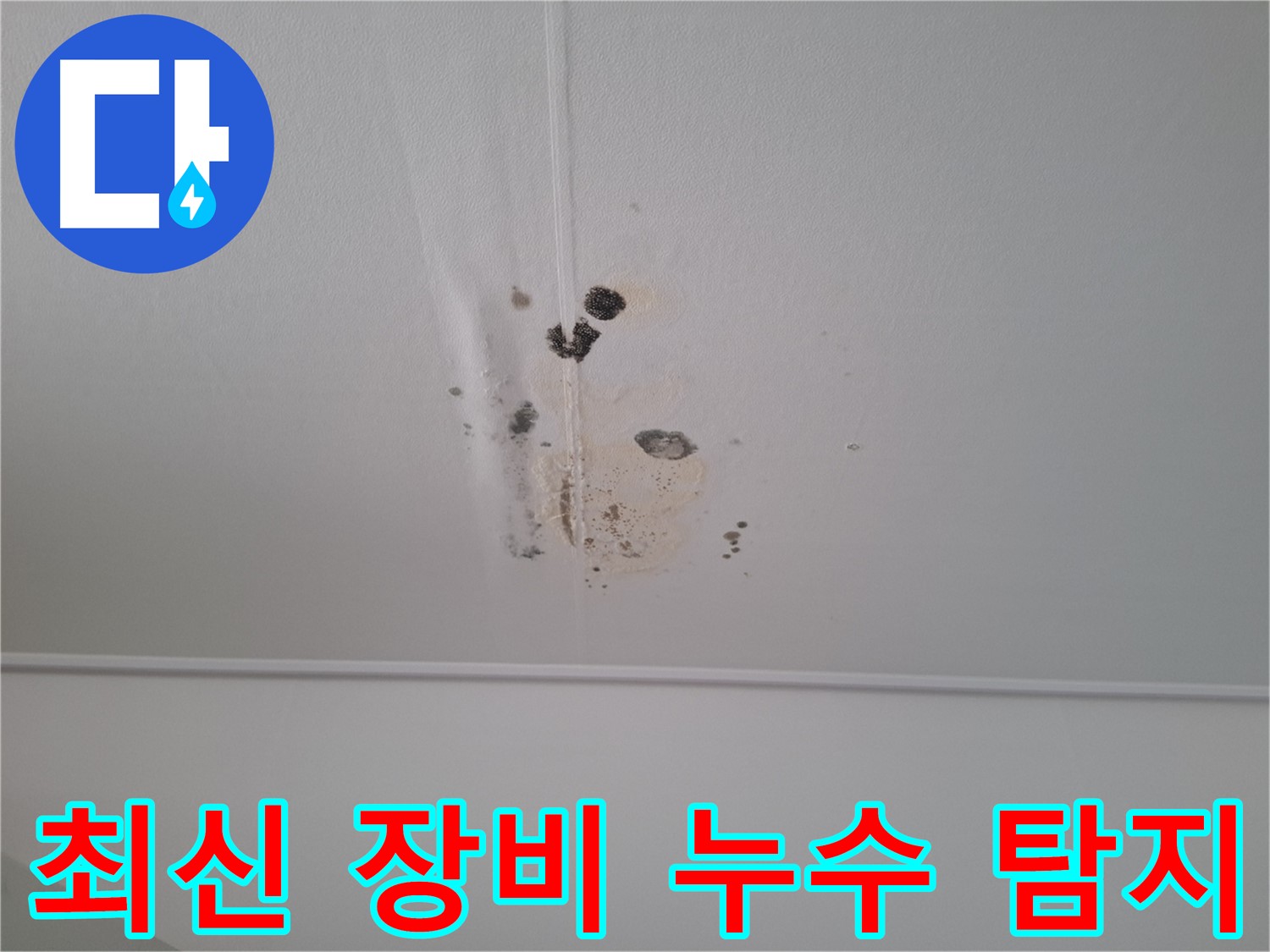 분당 삼평동 봇들마을 아파트 - 최신 장비를 사용하여 정확한 누수 지점을 탐지합니다.