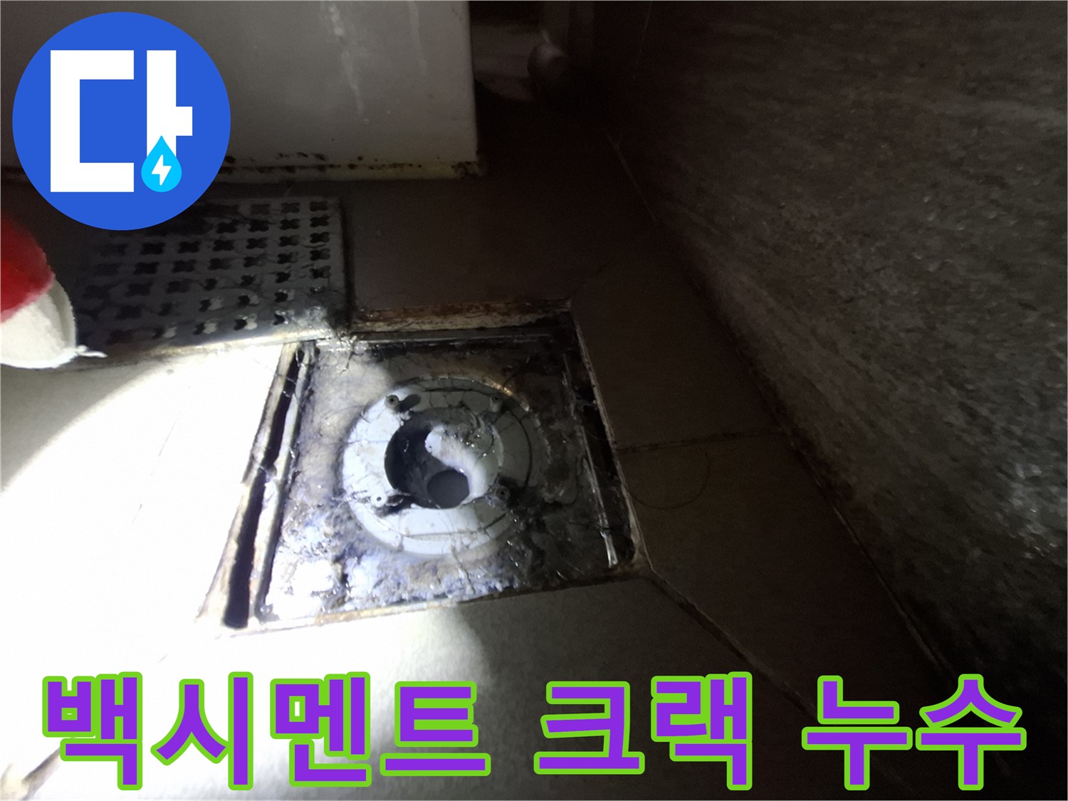 분당 삼평동 봇들마을 욕실 백시멘트 크랙 - 누수 점검, 꼼꼼한 관찰 필요