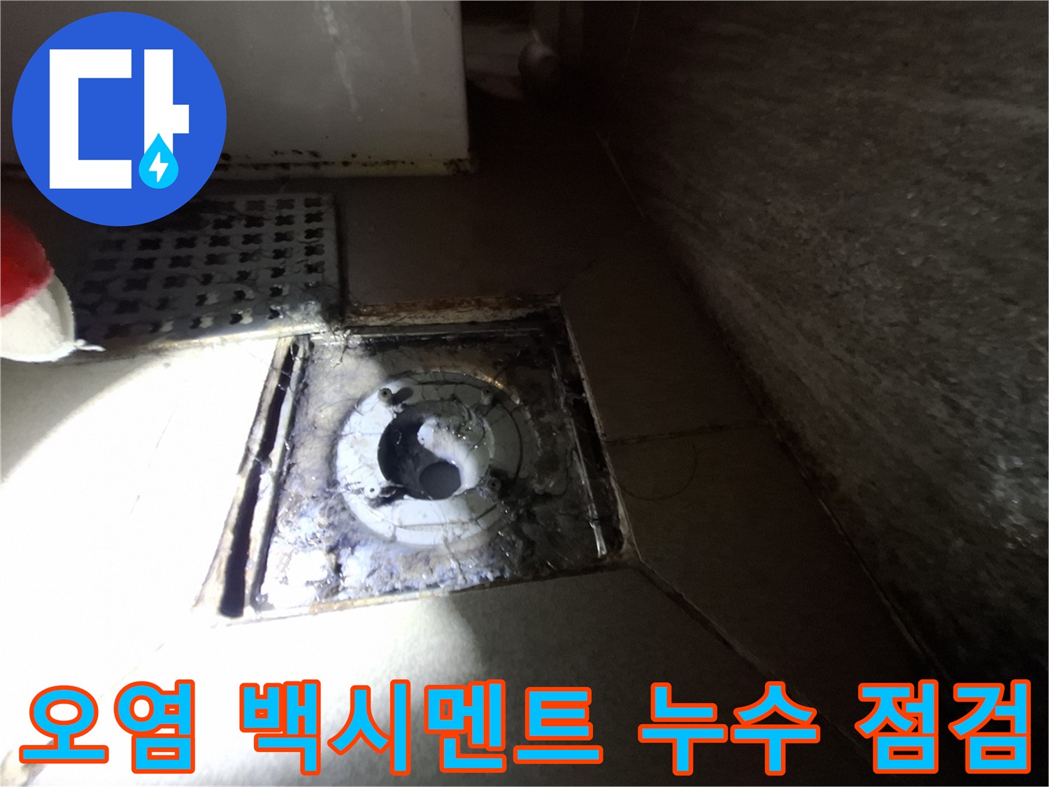 분당 삼평동 봇들마을 욕실 하수구 오염 - 백시멘트 손상 확인, 누수 점검 실시