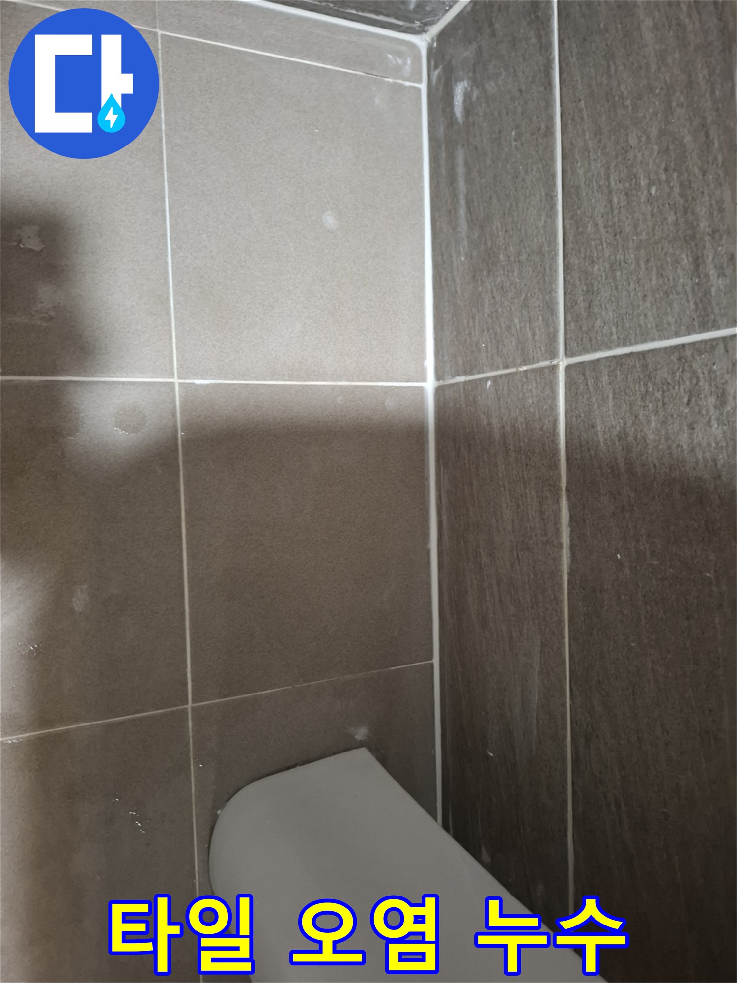 분당 삼평동 봇들마을2단지 아파트 욕실 누수 - 타일 오염으로 인한 누수 흔적 의심