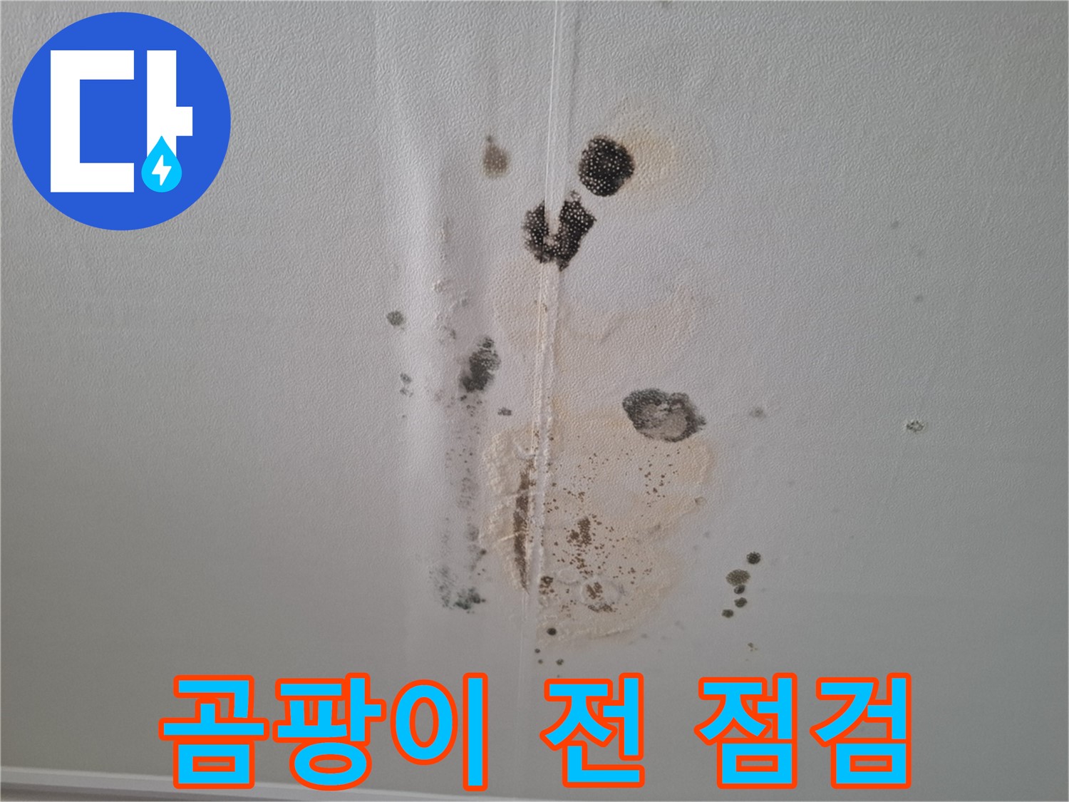 분당 삼평동 아파트 누수 - 곰팡이 발생 전 천장 얼룩 긴급 점검