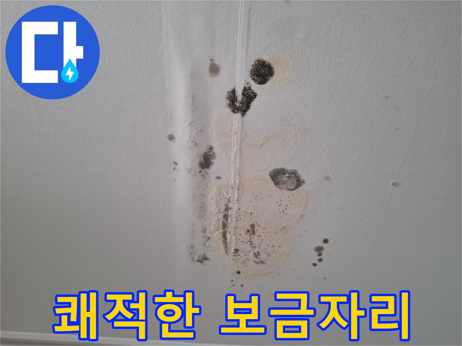 분당 삼평동 아파트 누수 - 곰팡이 제거 후 쾌적한 보금자리로 변화