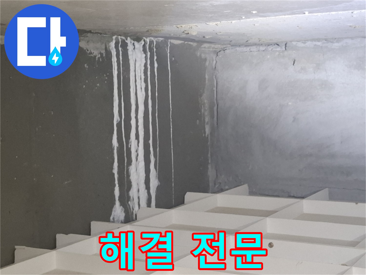 분당 삼평동 아파트 누수 - 곰팡이와 백화 현상 해결 전문 업체의 차별화된 기술력