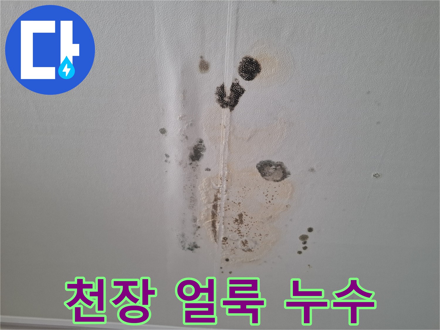 분당 삼평동 아파트 천장 누수 - 초기 얼룩 발견 및 곰팡이 예방 중요