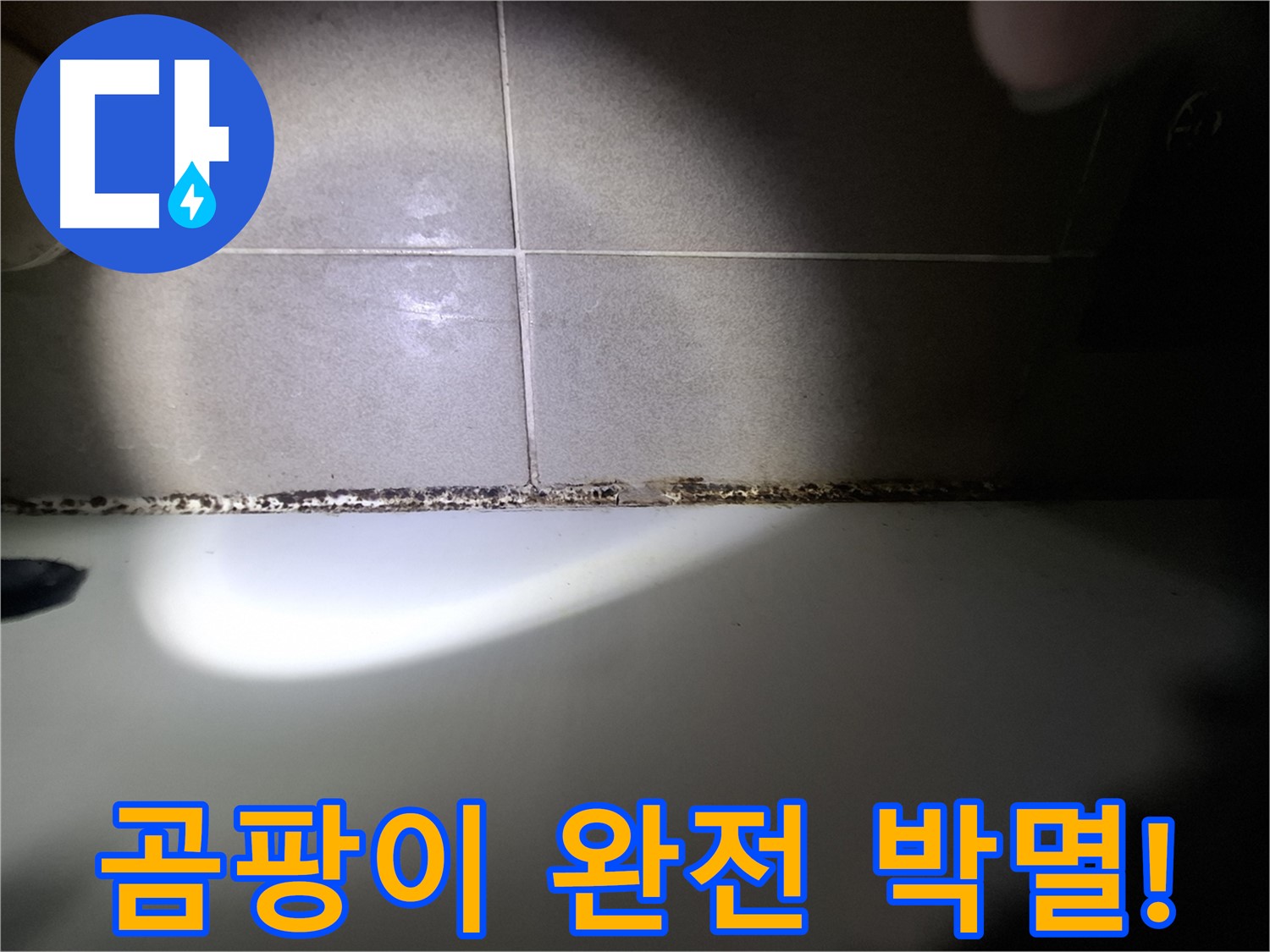 분당 욕조 곰팡이 완벽 해결 - 곰팡이 완전 박멸을 위한 최첨단 장비 시공