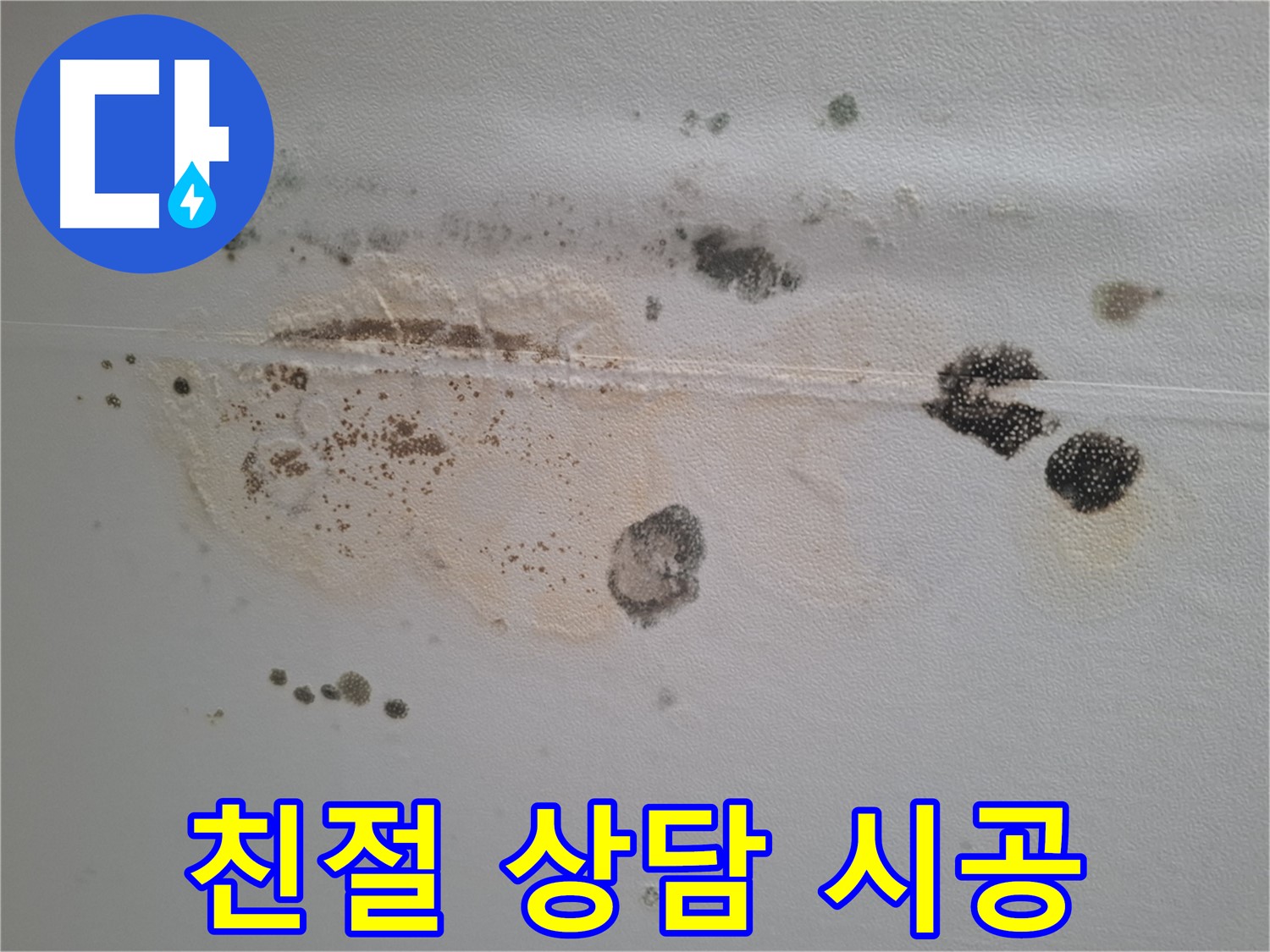 분당구 삼평동 누수 - 곰팡이 핀 천장, 친절한 상담과 확실한 시공을 약속드립니다